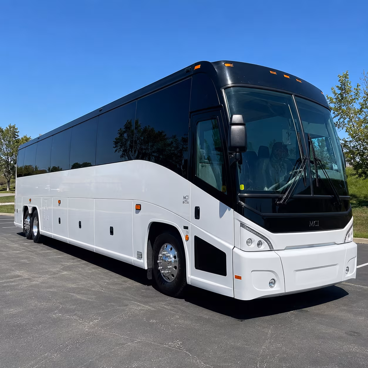 one search for your jackson group trip